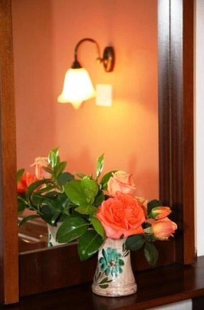 Triantafyllou Maria Rooms Skópelos 객실 사진